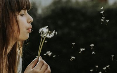 Andrea’s Final Journey