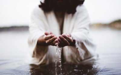 The Man From Galilee